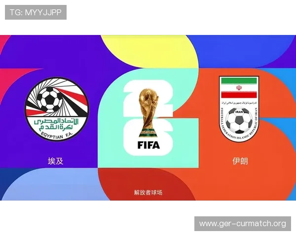 世界杯埃及VS伊朗比赛规则解析及比赛现场观赛指南